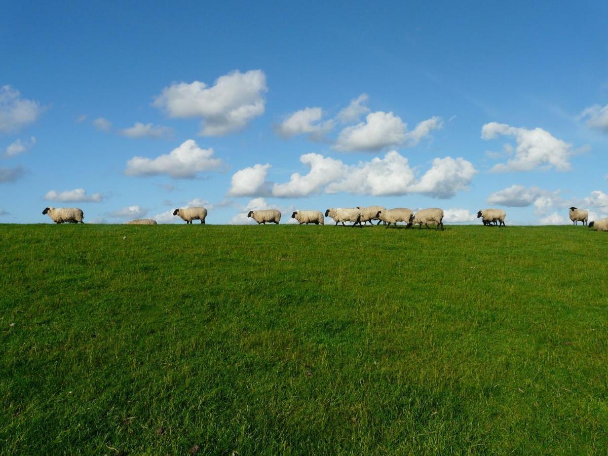 Nordsee Ferienwohnung Nord Dornumersiel Luaran gambar